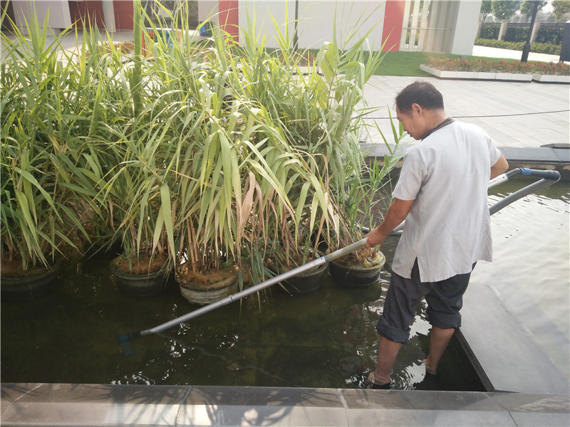 在苏大实验学校南门水池进行吸污工作.jpg