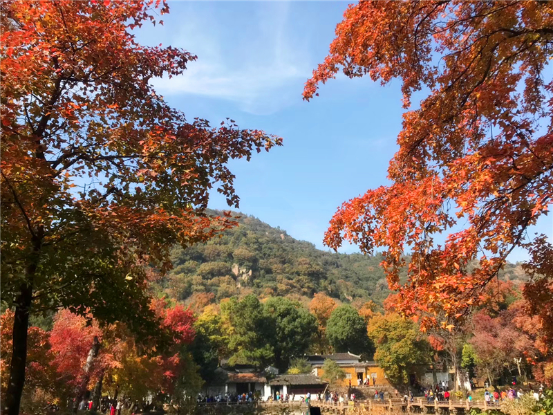 天平山风景 (9).jpg