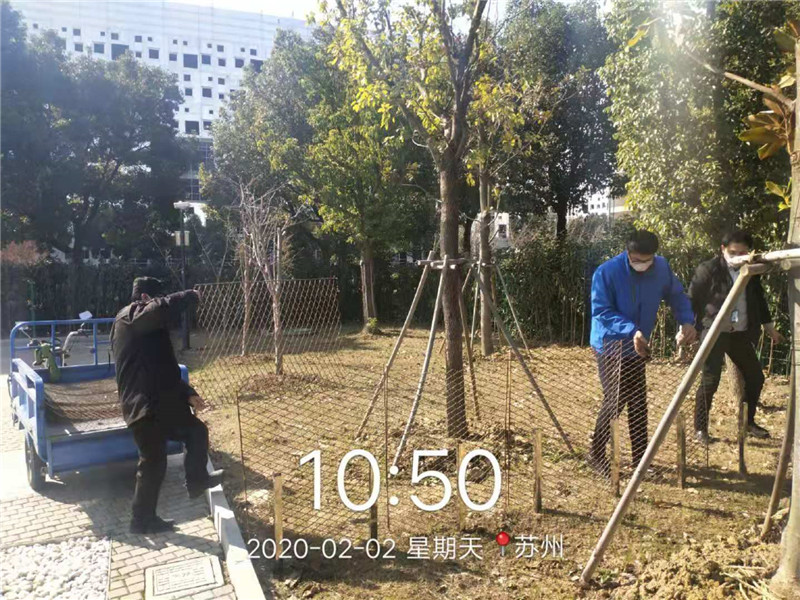 1582015140823866.jpg