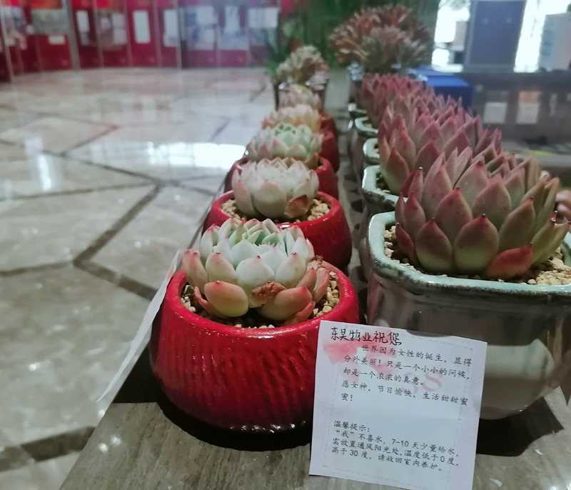 IMG_20200303_153902_mh1583226379492_副本.jpg