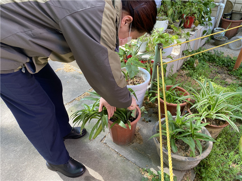 阿姨帮花翻土.jpg