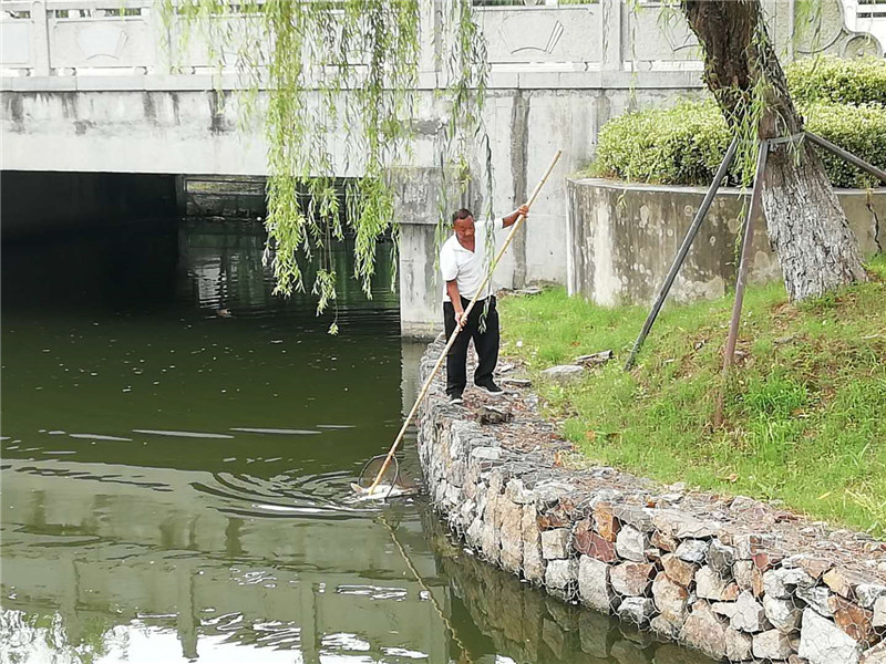 捞鱼1.jpg