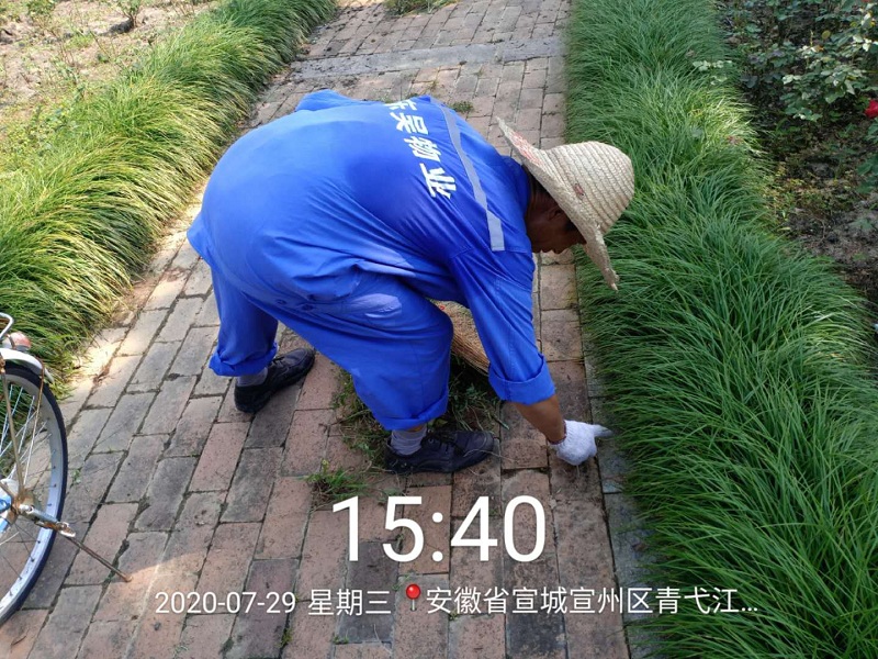 室外保洁.jpg