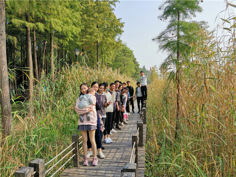 微信图片_20201118075911.jpg