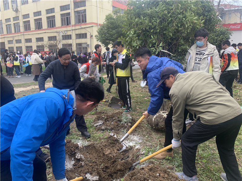 协助校领导挖树坑.png