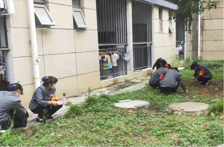 图片5.jpg