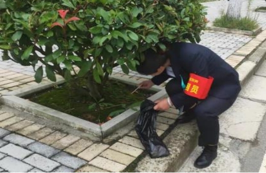 图片6.jpg