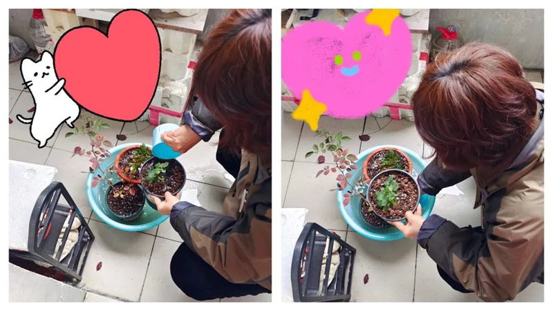 1646877333751009.jpg 微信图片_20220309190132.jpg