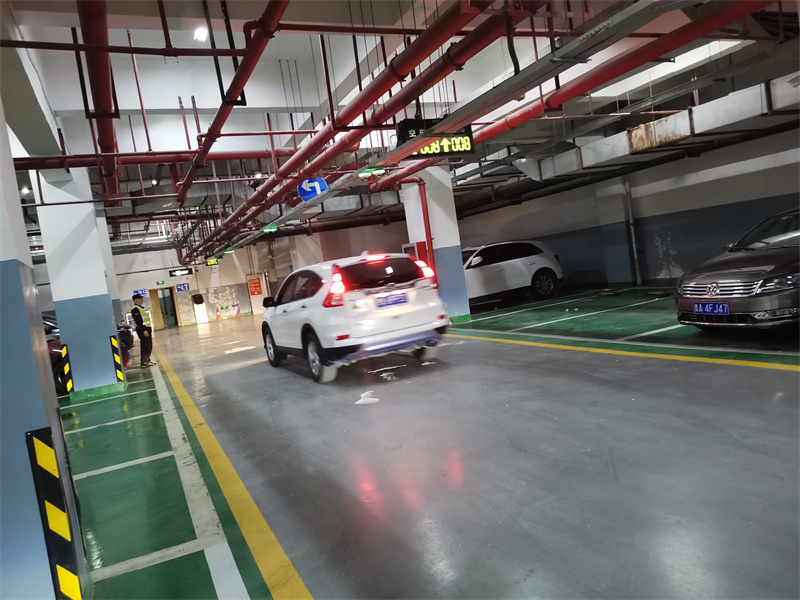 1646900901795590.jpg 7.jpg