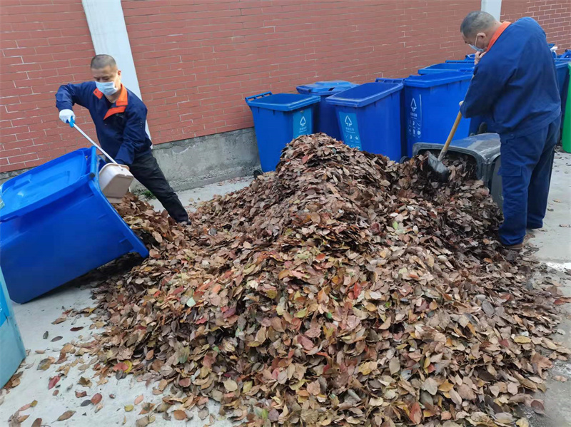 清扫树叶.jpg