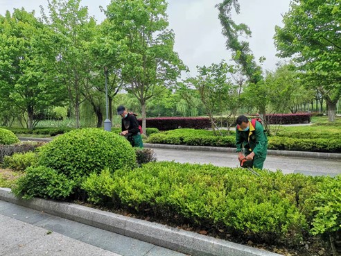 1651376453424255.jpg 图片1.jpg