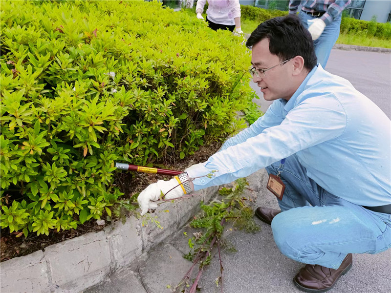 研究员拔草.jpg