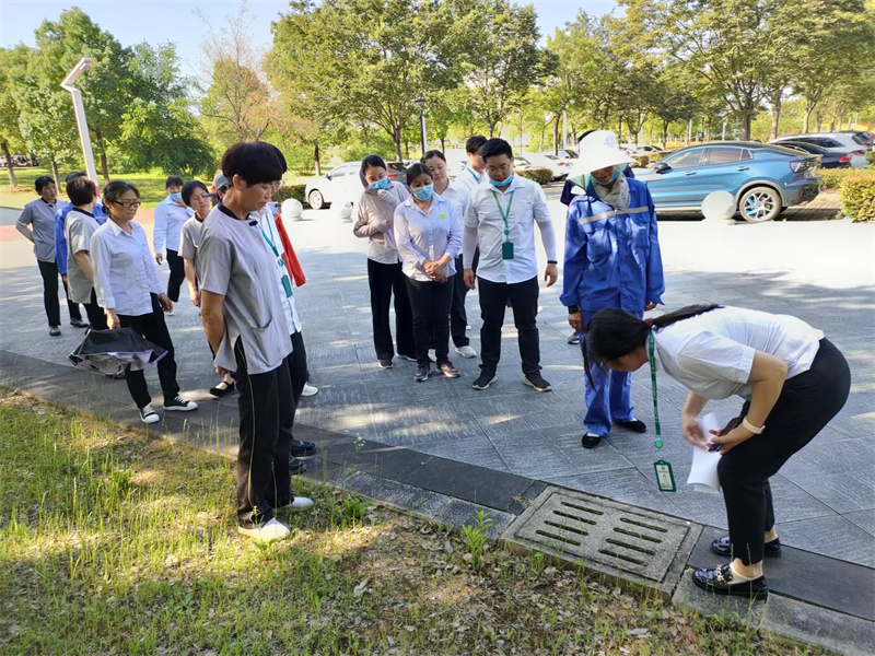 1655698062471903.jpg 4.jpg