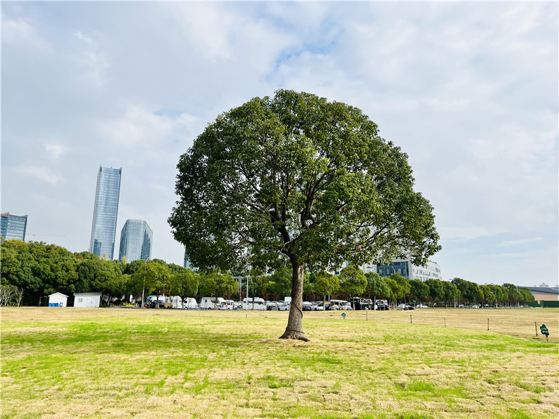 5b525e5a4799cb387e02a63f1bcb47c_副本.jpg