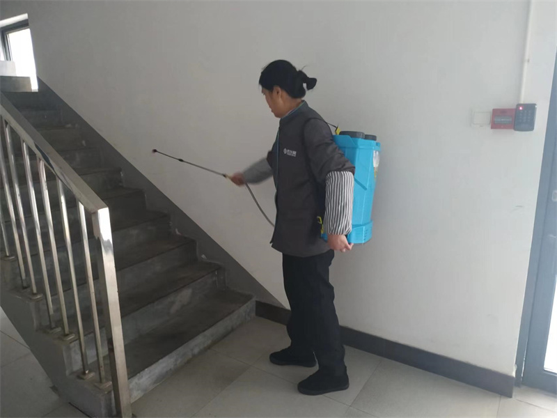 公寓、教学楼区域消毒3.jpg