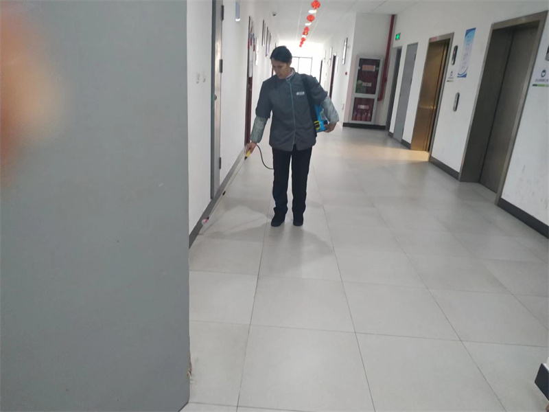 公寓、教学楼区域消毒4.jpg