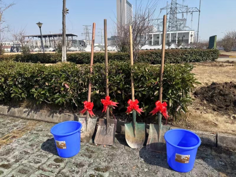 植树共建4.jpg
