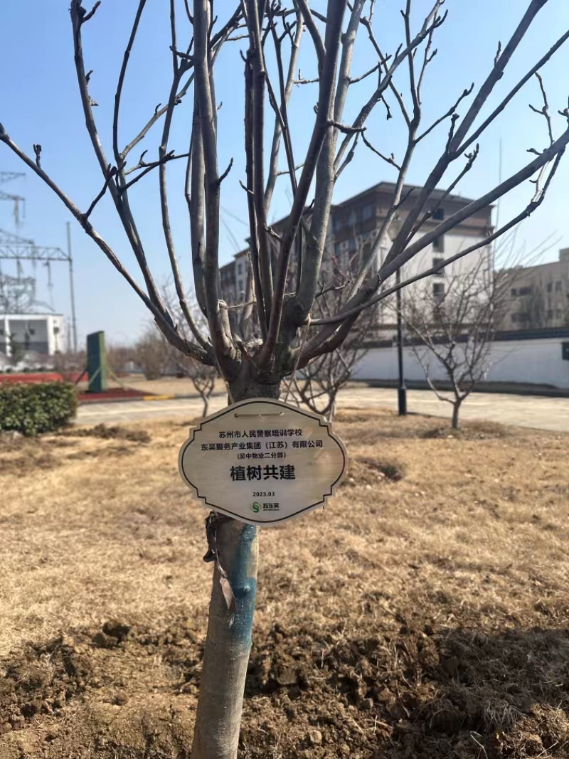 植树共建3.jpg