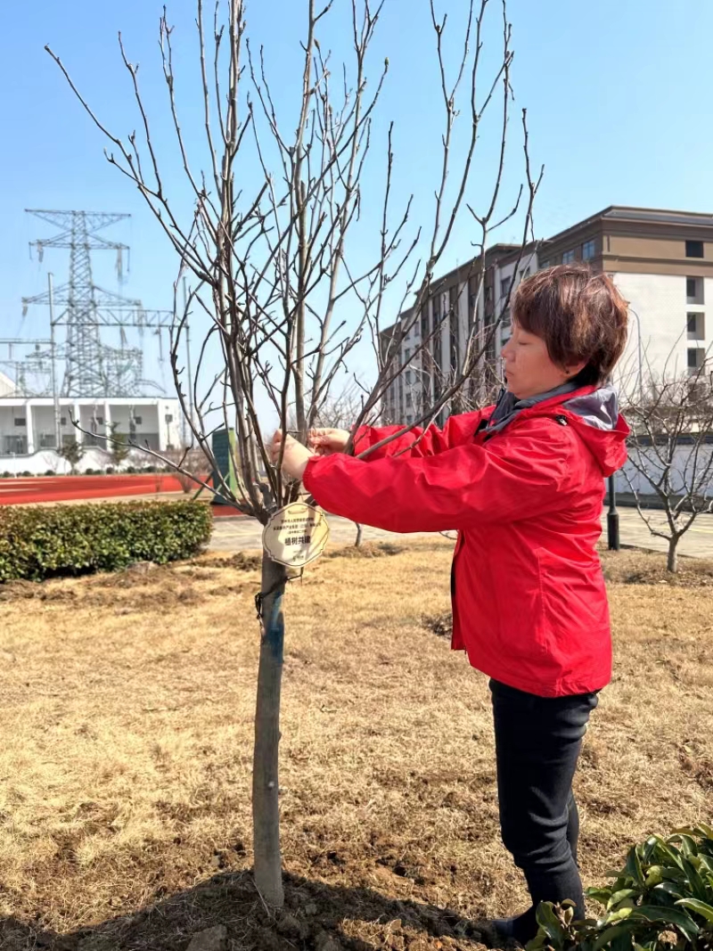 植树共建7.jpg