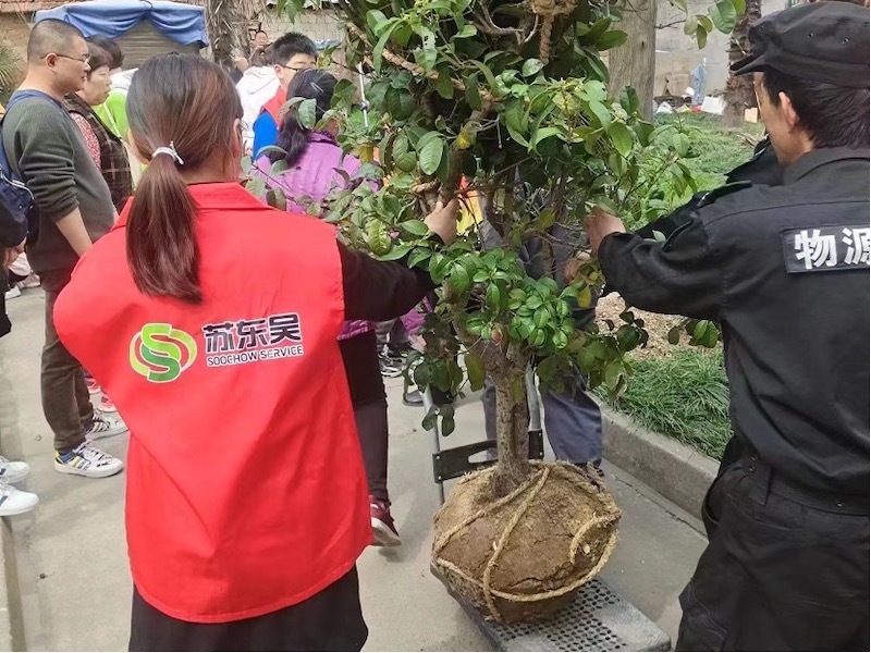 植树节2.jpg