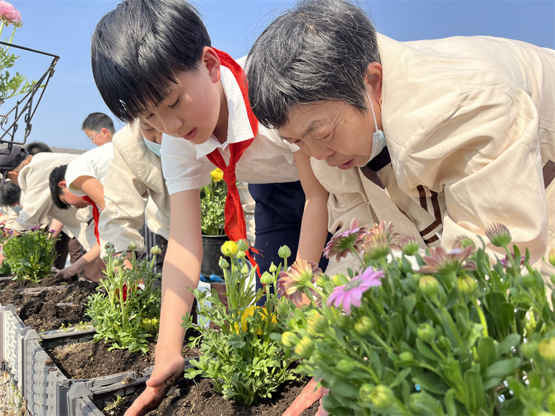 医院物业一分部沧浪教育集团小学项目植树节活动1.jpg