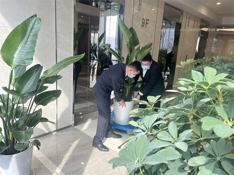绿植调整.jpg