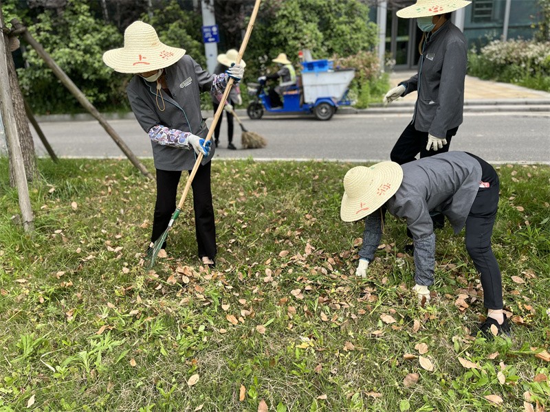 扒草.jpg