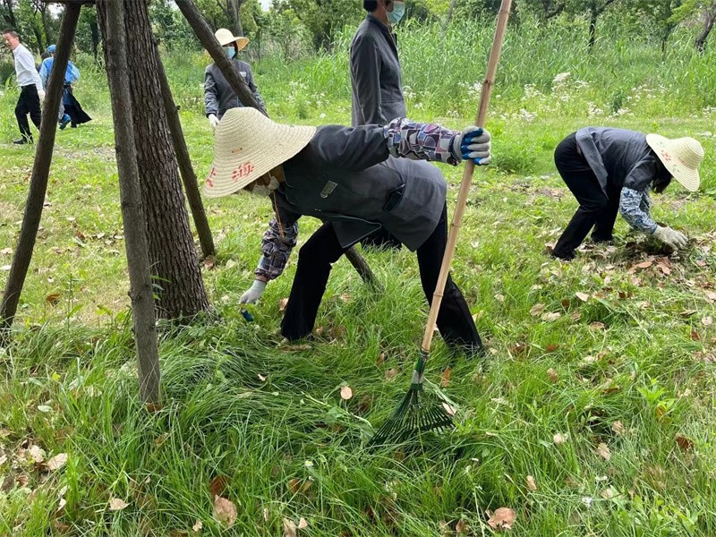 扒草1.jpg