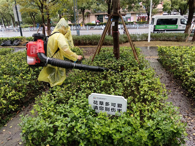 雨中绿植养护修剪.jpg