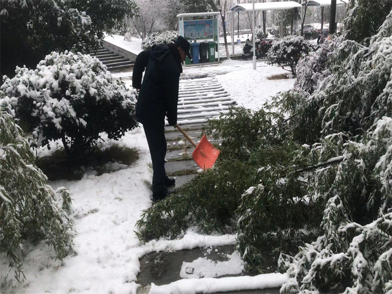 除雪 (11).jpg