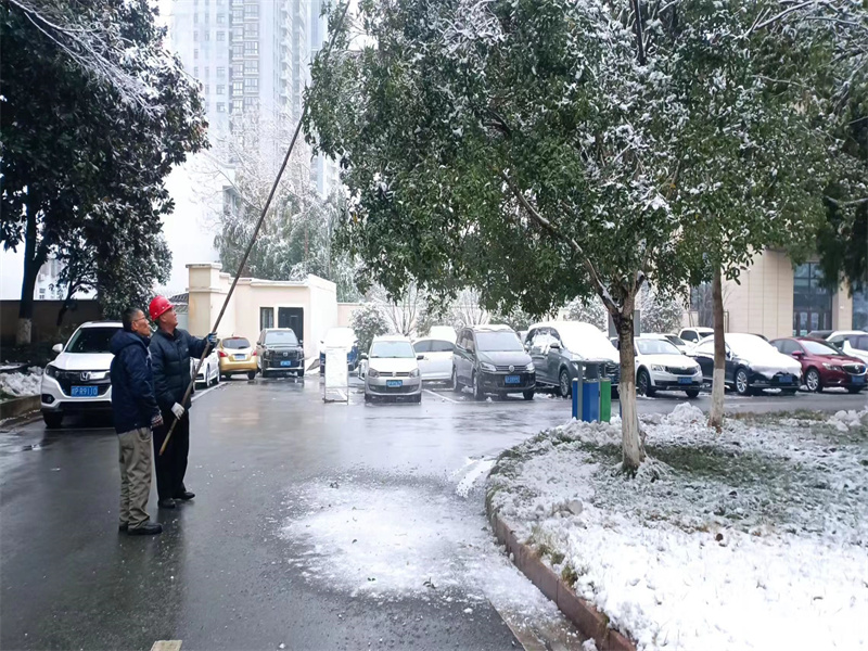 清理大树积雪.jpg