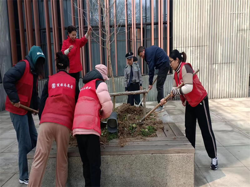 植树节活动 (2).jpg
