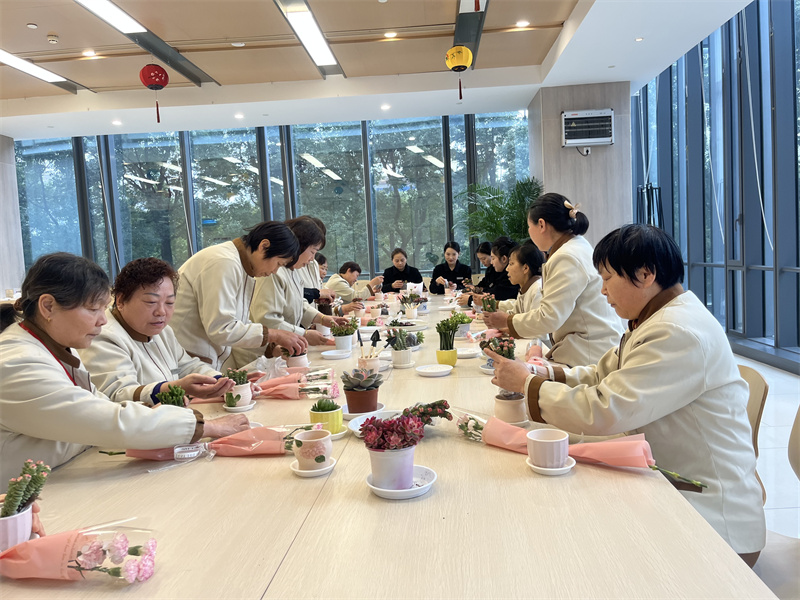 DIY多肉种植现场2.jpg