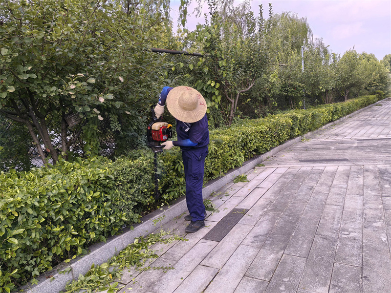 图片19.jpg