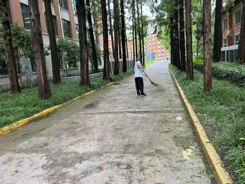 台风后清扫1.jpg
