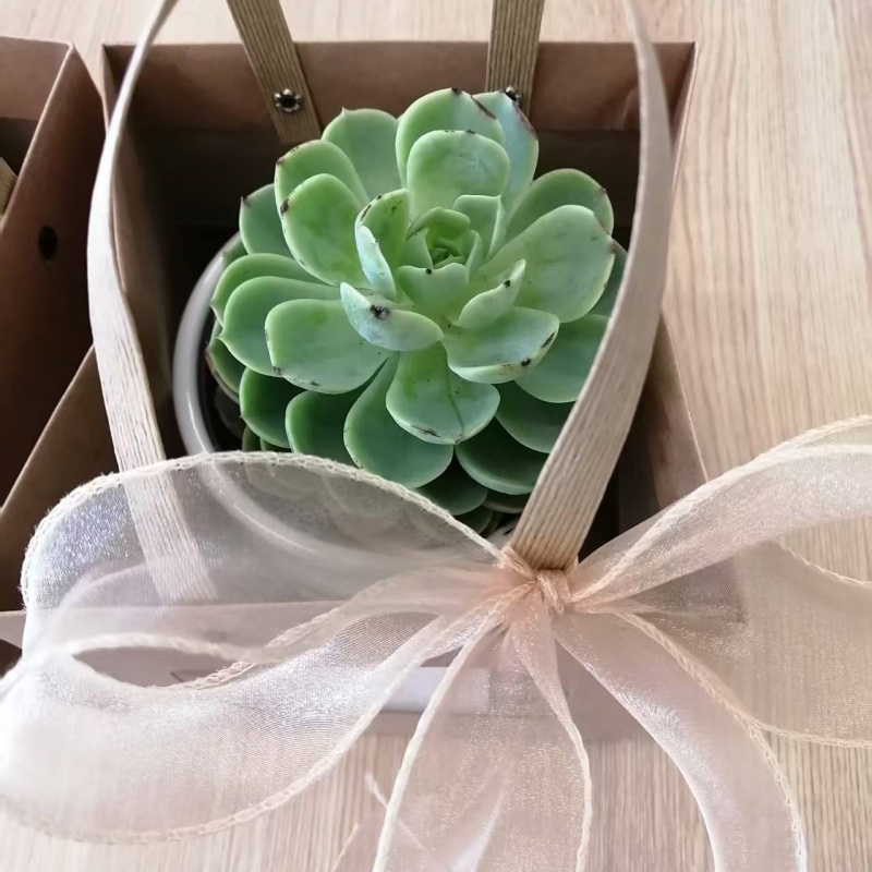 1758153572892322.jpg 4.jpg