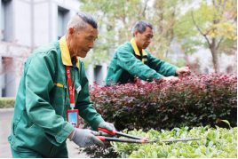 1762754613533383.png image.png