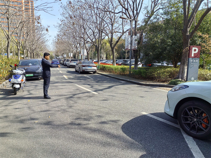 1775532267619241.jpg 7.jpg