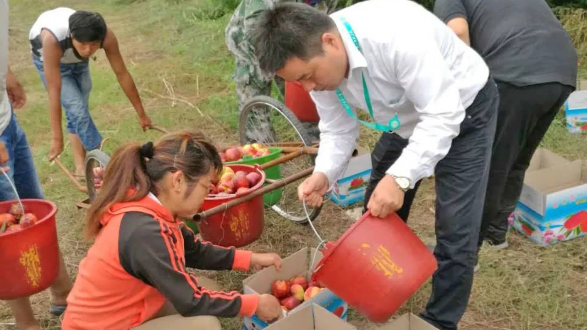 微信图片_20180326090056.jpg