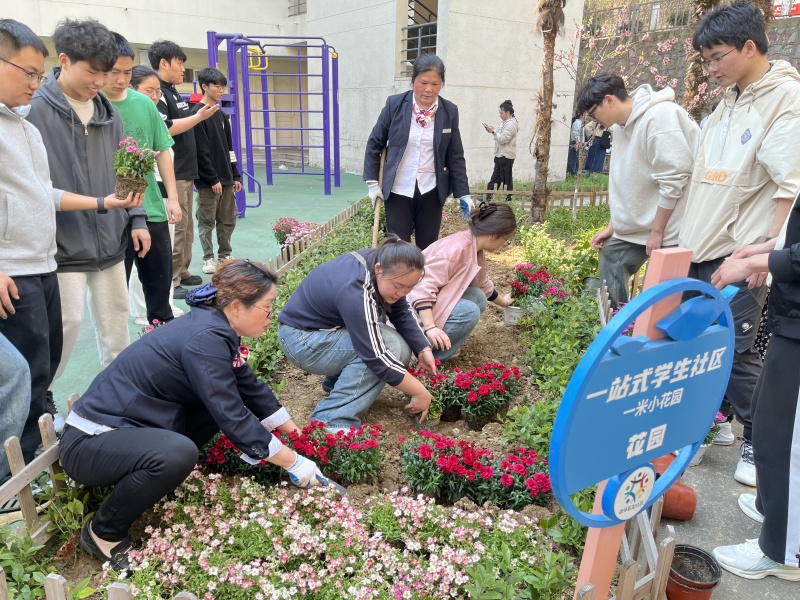 花卉种植区域.jpg
