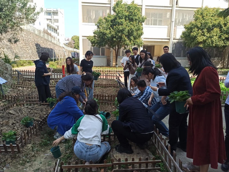 指导学生种植草莓苗技巧.jpg