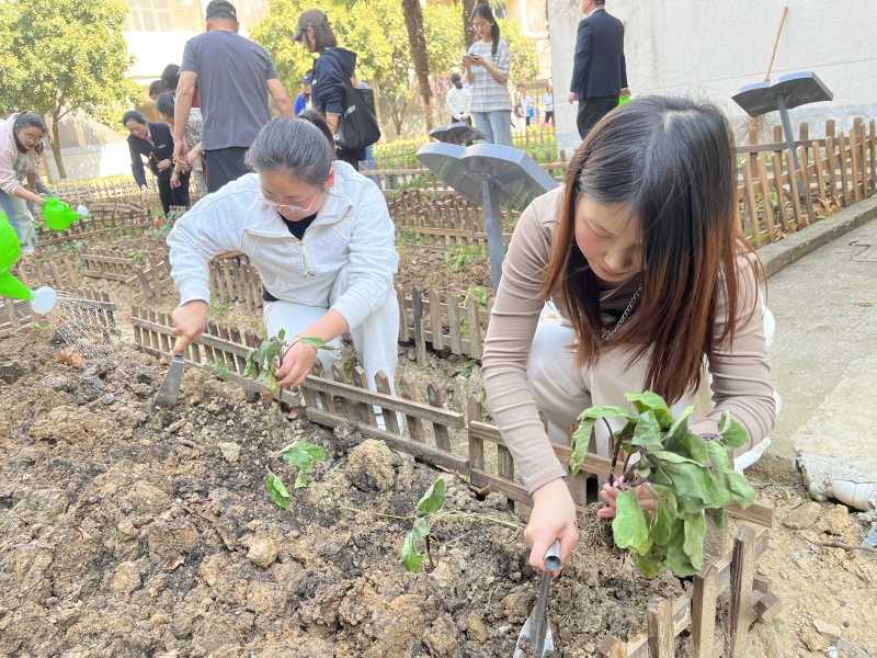 学生认真栽种蔬菜苗.jpg