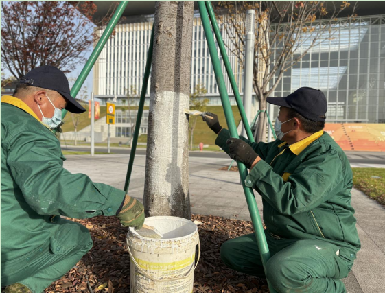 1765352971657392.png 333.png