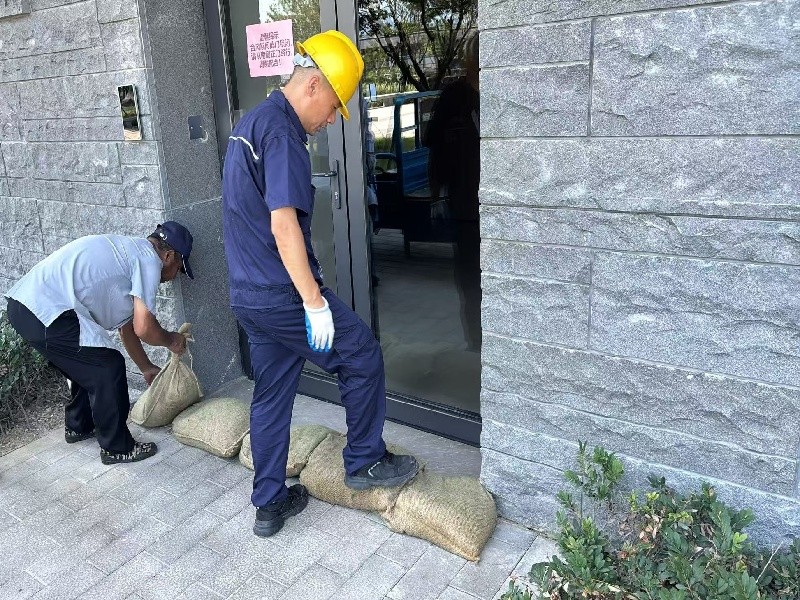 1783841651823278.jpg